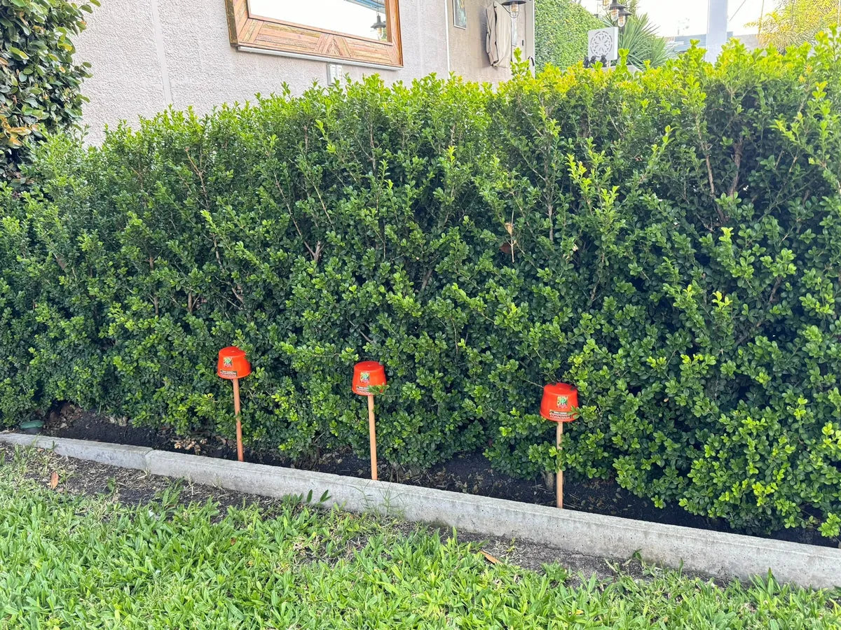 Porta Cebo Hormiguicida Granulado Aa