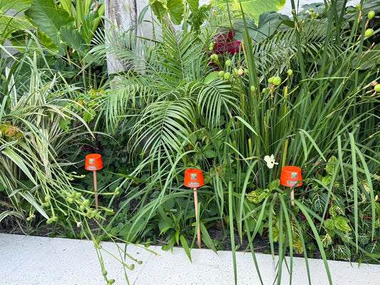 Porta Cebo Hormiguicida Granulado Aa