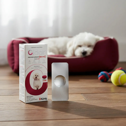 Pastilla Antiparasitaria Cidar Para Perro 3,1-6kg Marrón