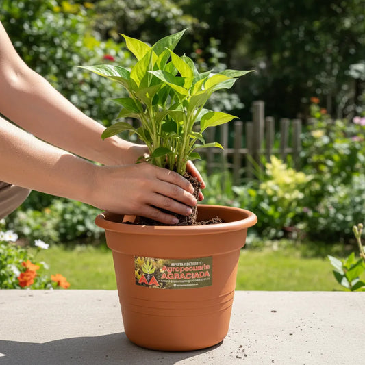 Maceta Agro A Exterior Interior Modelo Cilindrica 22 Cms