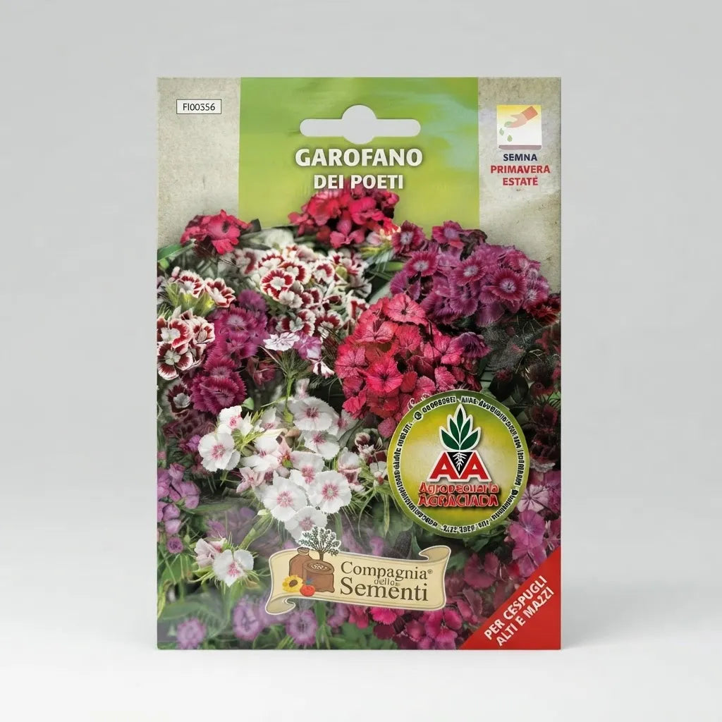 Semillas De Flores Clavelina Del Poeta Variadas Agro A