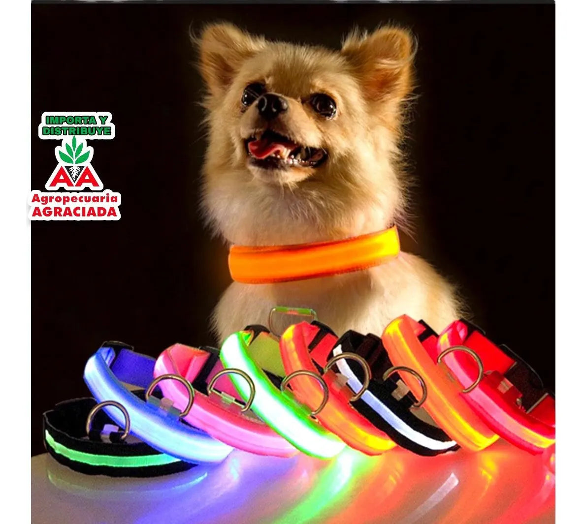 Collar Para Perros Con Iluminación Led
