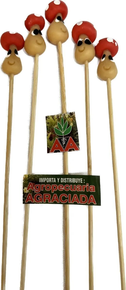 Tutores Decorativos Para Macetas Y Plantas (6 Modelos)