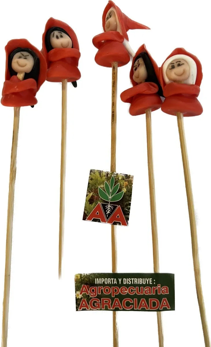 Tutores Decorativos Para Macetas Y Plantas (6 Modelos)