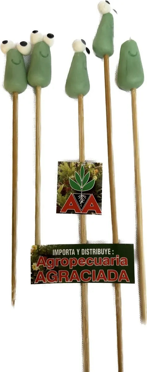 Tutores Decorativos Para Macetas Y Plantas (6 Modelos)