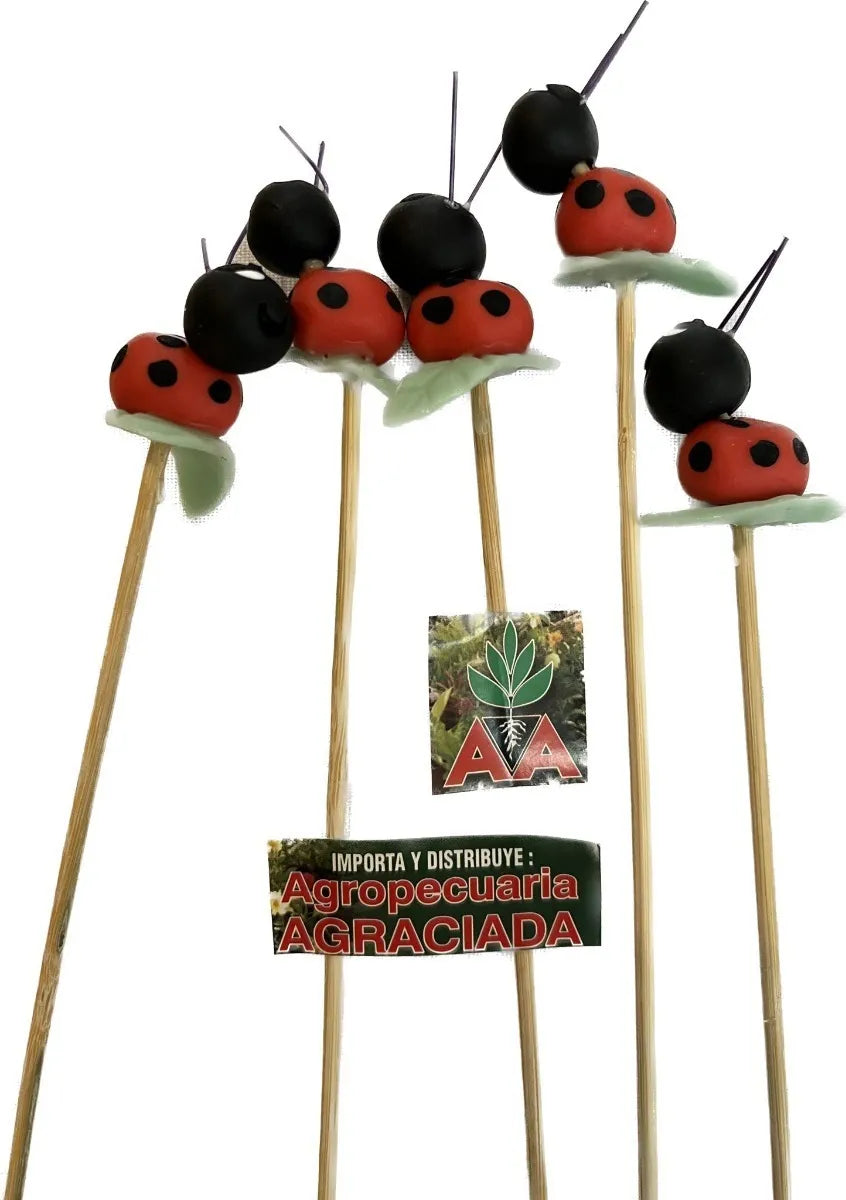 Tutores Decorativos Para Macetas Y Plantas (6 Modelos)