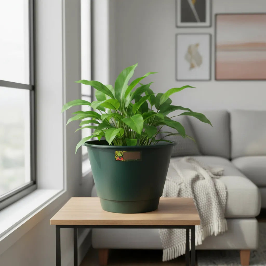 Maceta Plastica Exterior Interior Modelo Elegant 23 Cms