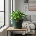 Maceta Plastica Exterior Interior Modelo Elegant 23 Cms
