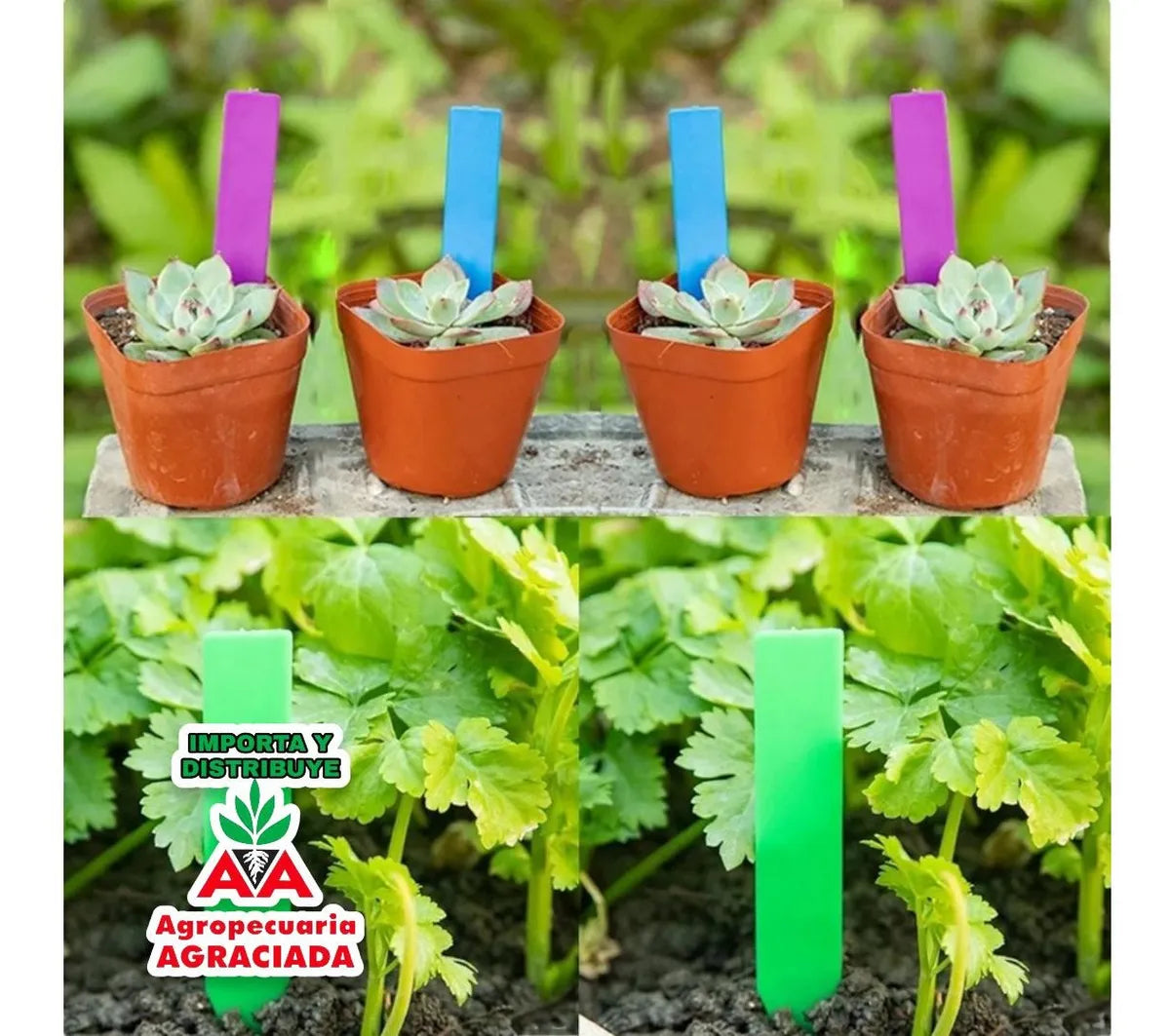 Identificadores Para Plantas Plástico Flecha Grande X 100 Agua