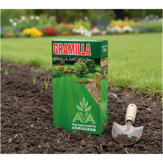 Semilla De Gramilla Agro A Caja 250 Grs.