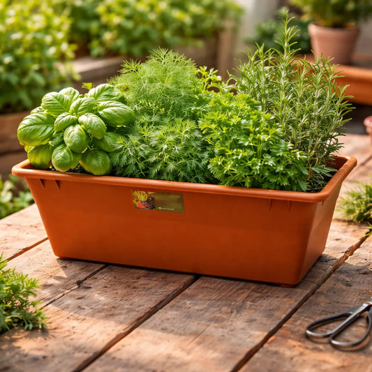 Maceta Jardinera Exterior Interior Terracota O Verde 60 Cms