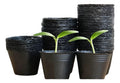 20 Macetas Negras De Vivero 13 Cm Plantas Tunas Plantines Negro