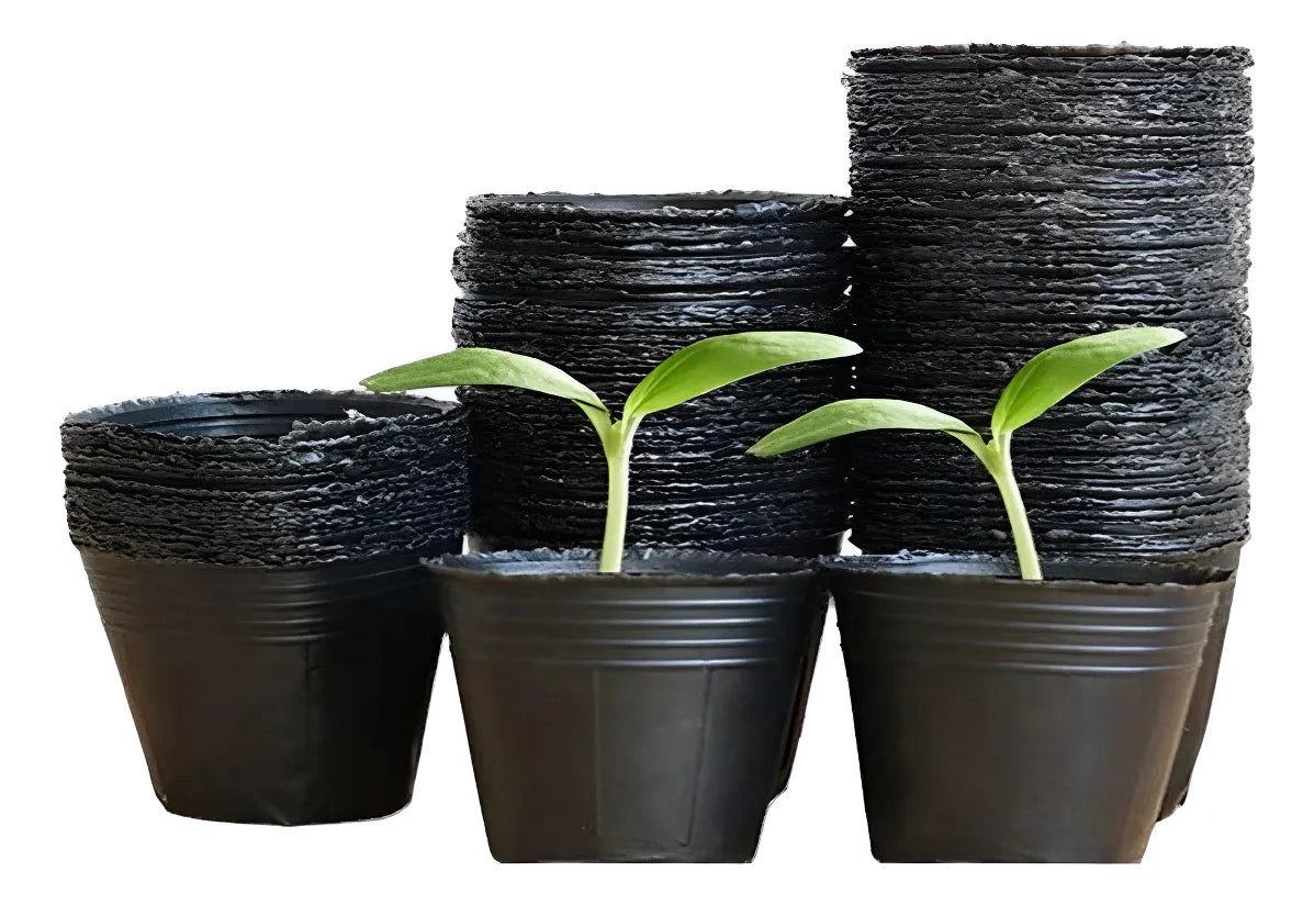 20 Macetas Negras De Vivero 16 Cm Plantas Tunas Plantines Negro