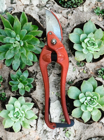 Tijera De Poda Metálica Roja Blíster