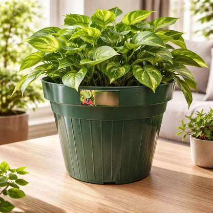 Maceta Plástica Exterior Interior Agro A Pl 30 Cms