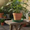 Plato Para Maceta Plastico Verde 20 Cms Pack X 2