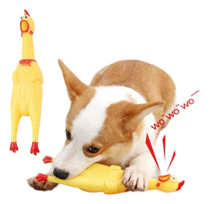 Pollo Con Chifle (a) Chico 16 cm