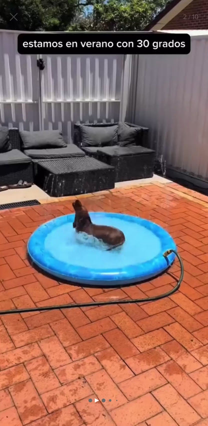 Piscina Para Perros, Con Lluvia Tamaño 150 Cm