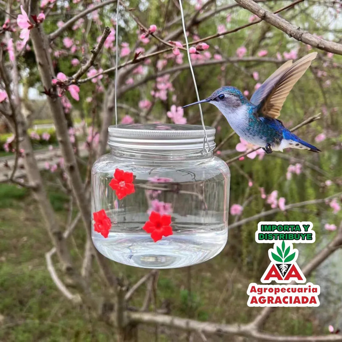 Bebedero Para Colibríes Con Puertos De Flores Transparente Transparente