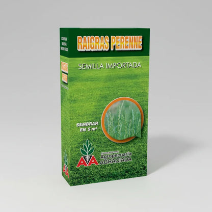 Semillas Césped Raigrás Perenne Alto Tránsito