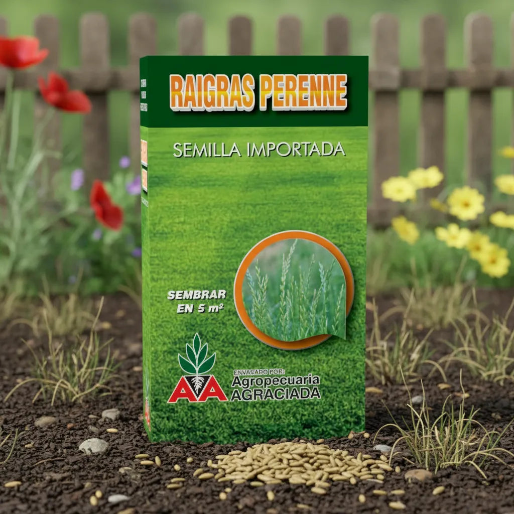Semillas Césped Raigrás Perenne Alto Tránsito