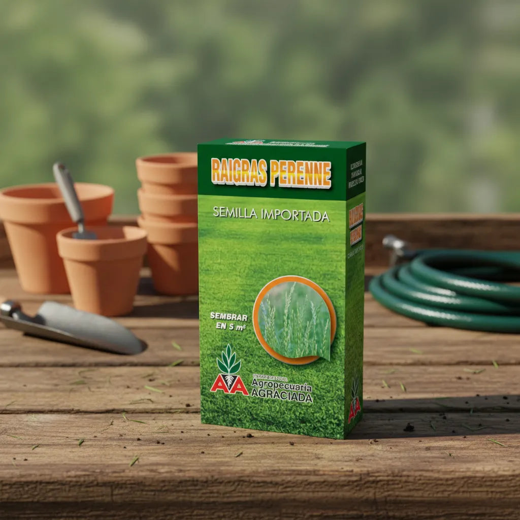 Semillas Césped Raigrás Perenne Alto Tránsito