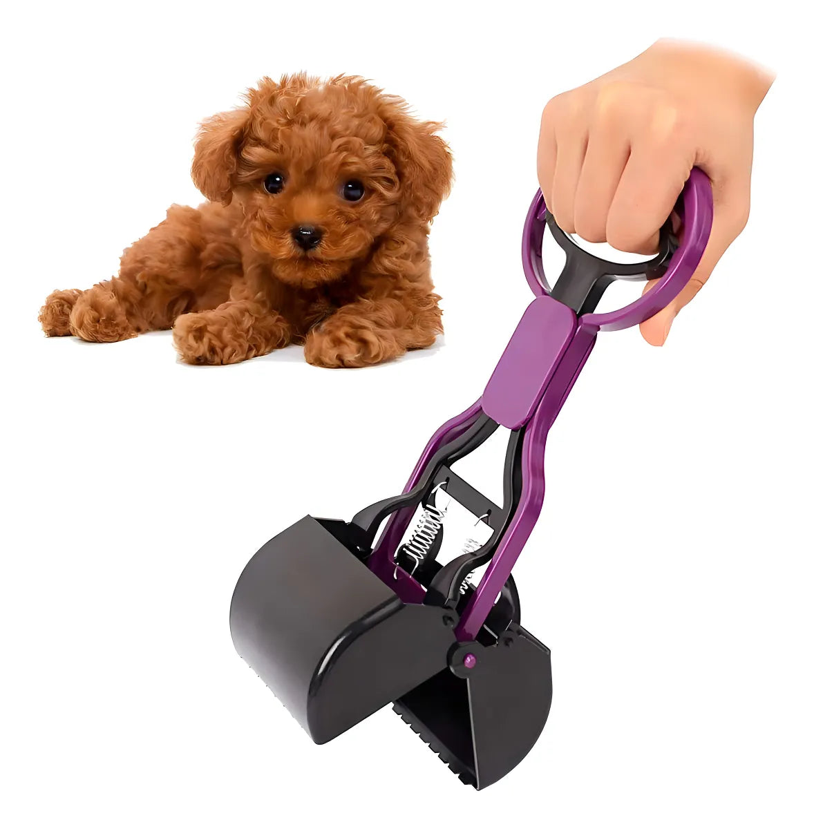 Pala Palita Sanitaria Articulada Para Perros Y Gatos Atrix ® Color Violeta