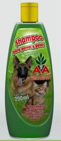 Shampoo pote