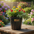 Maceta Soplada Canadiense Plantas Vivero 2.5lts Pack X10 Uni