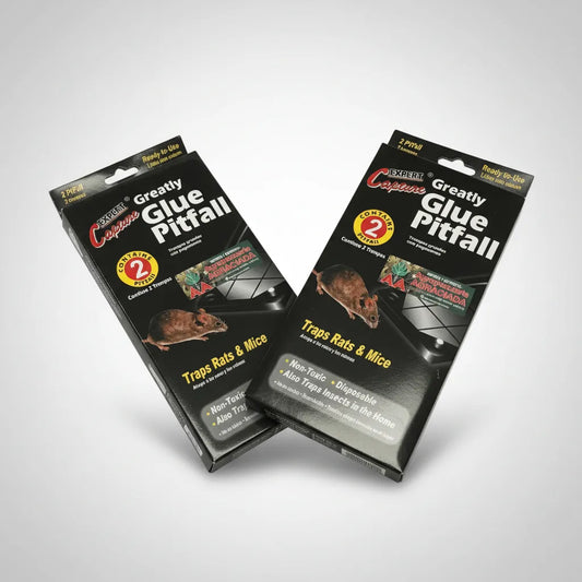 Trampa Adhesiva para Ratas x 2