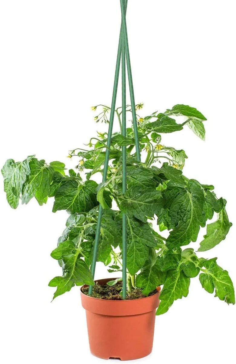 Tutores Para Plantas Largo 90 Cm.